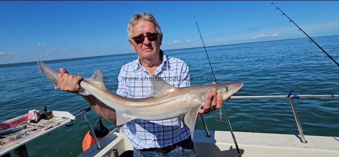 6 lb Smooth-hound by Unknown