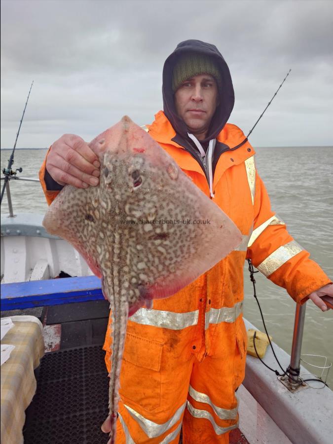 5 lb Thornback Ray by Curtis