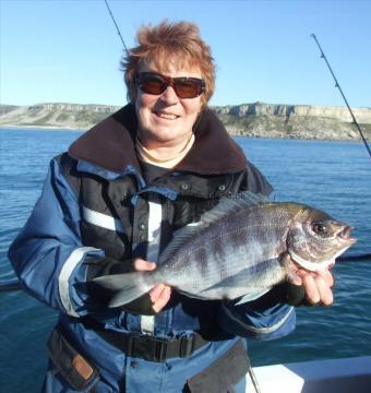 3 lb 8 oz Black Sea Bream by Denise Young