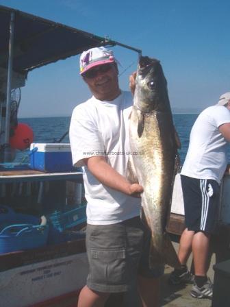 15 lb 1 oz Pollock by mick