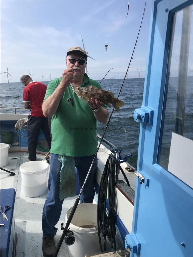 3 lb Ballan Wrasse by Eric Tobinson