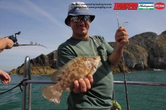 2 lb Ballan Wrasse by Ceirion