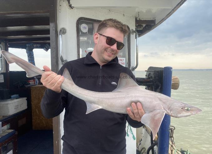 8 lb Smooth-hound by Unknown