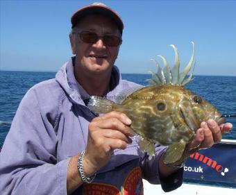 1 lb 4 oz John Dory by Andy Collings