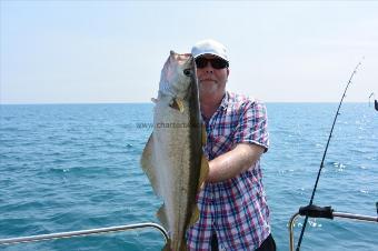 7 lb Pollock by Stephen Wake