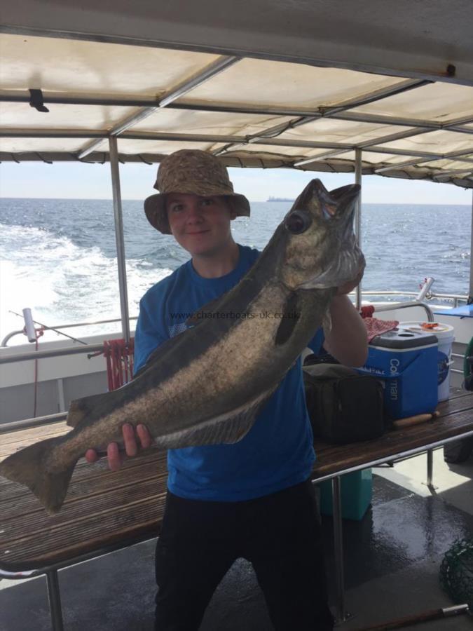 11 lb 4 oz Pollock by Alex