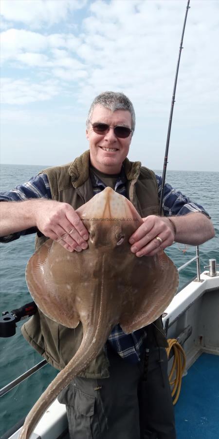 10 lb Small-Eyed Ray by Unknown