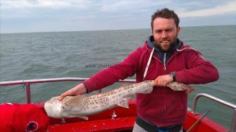 12 lb Bull Huss by fishy chris