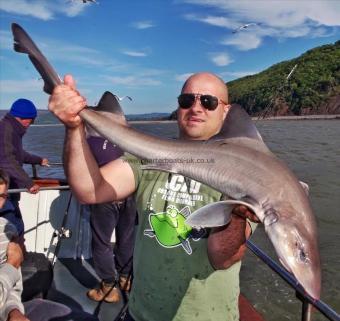 10 lb 12 oz Smooth-hound (Common) by George Stav