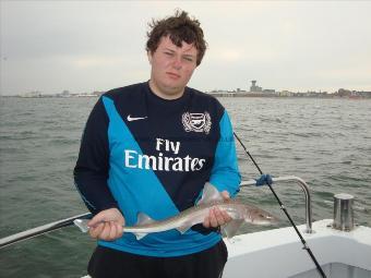 4 lb Smooth-hound by Josh