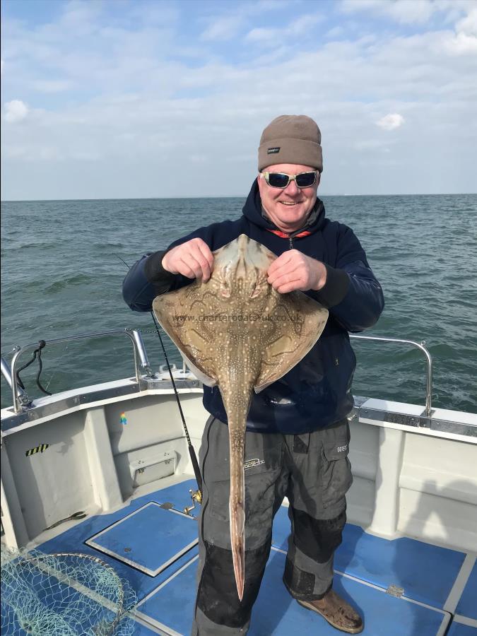 9 lb Undulate Ray by Unknown