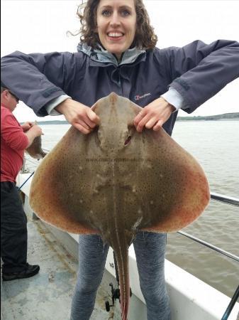 15 lb 8 oz Blonde Ray by Simone