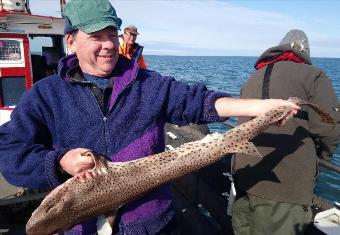 14 lb 10 oz Bull Huss by gareth