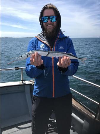 1 lb Garfish by James