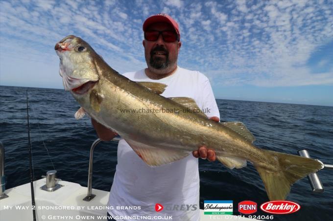 8 lb Pollock by Simon