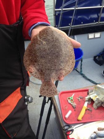 14 oz Turbot by Rich dean