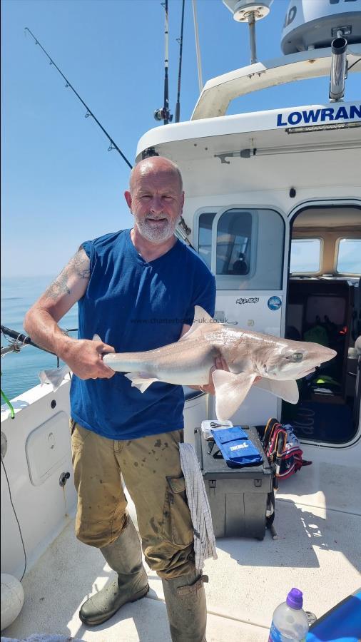 9 lb Smooth-hound by Unknown
