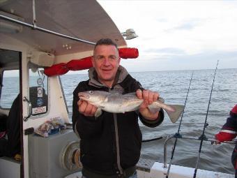 3 lb 5 oz Cod by Neil