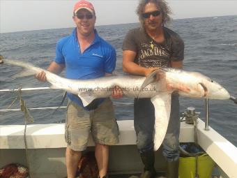 100 lb Blue Shark by not known