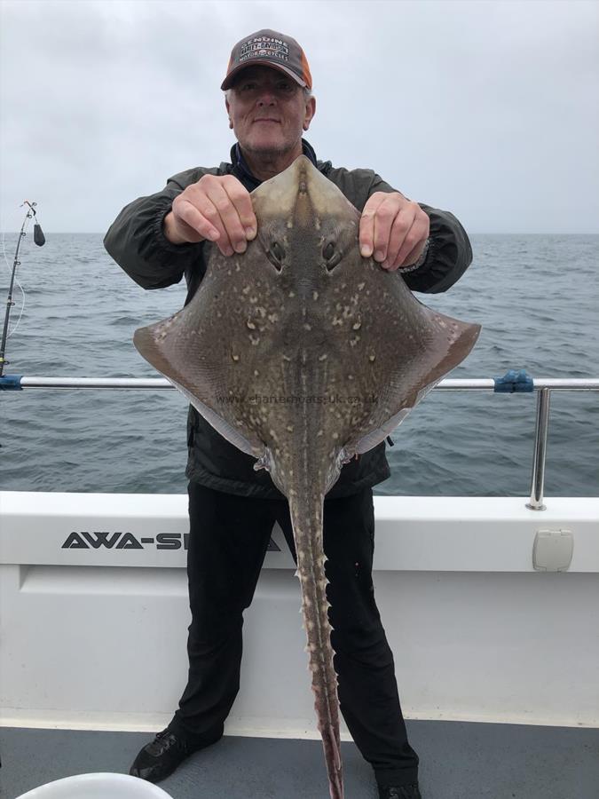 8 lb 4 oz Thornback Ray by Ray Crowe