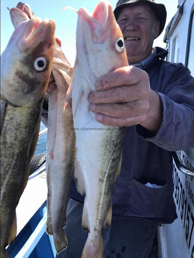 7 lb Cod by Jack from Sewerby wreck fishing  fish