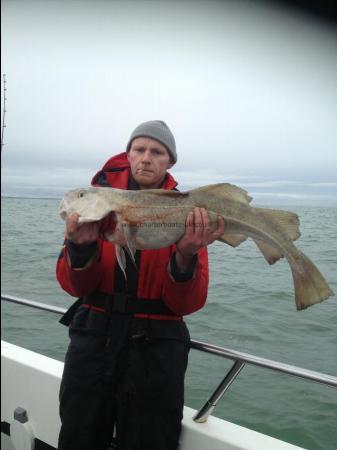 14 lb Cod by Unknown