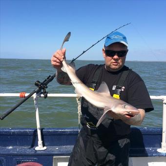 6 lb Smooth-hound by Bruce
