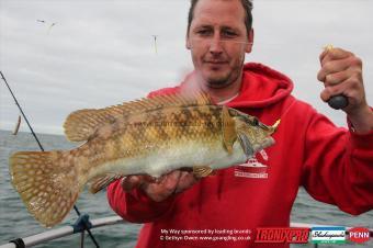 3 lb Ballan Wrasse by Mark