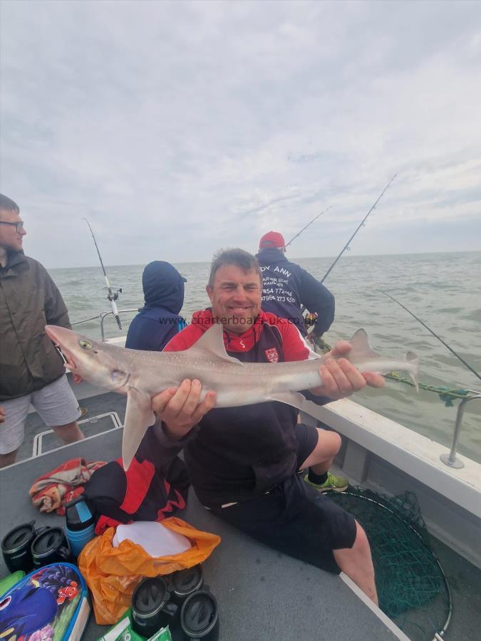6 lb Smooth-hound (Common) by Martin