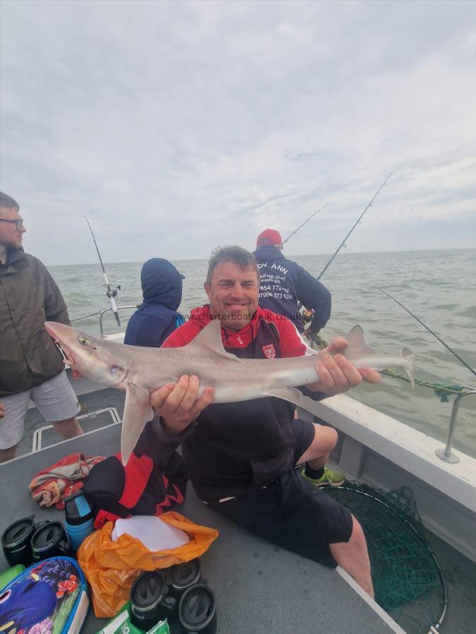 6 lb Smooth-hound by Martin