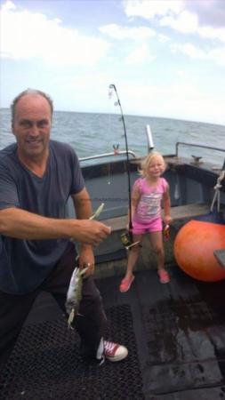 1 lb Mackerel by Gracie