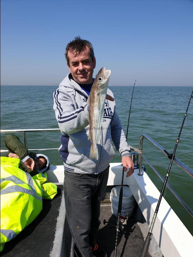 1 lb 8 oz Whiting by Bob Marshall