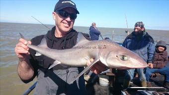 5 lb 9 oz Smooth-hound by Martin from Essex