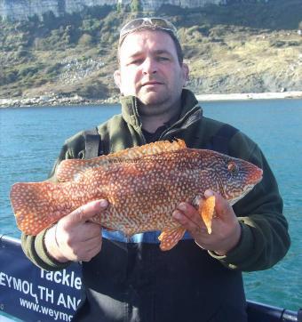 5 lb 14 oz Ballan Wrasse by Terry Hickman