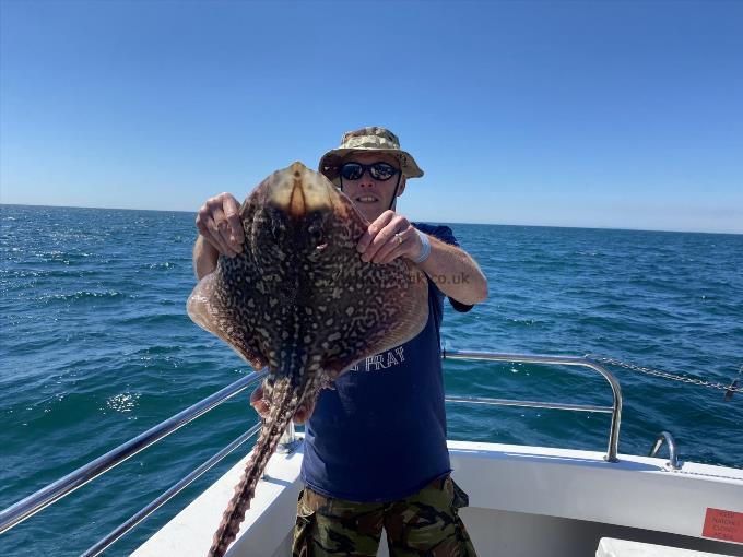 8 lb 9 oz Thornback Ray by Tim Berry