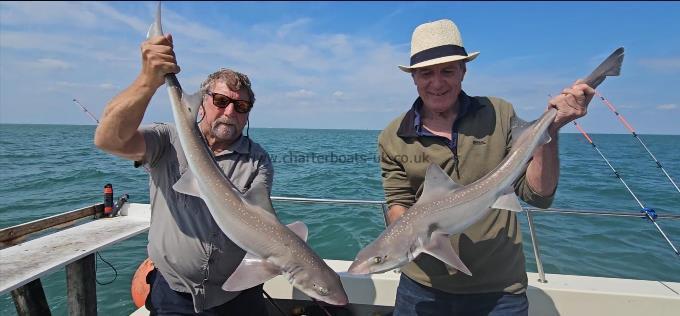 9 lb Starry Smooth-hound by Dave