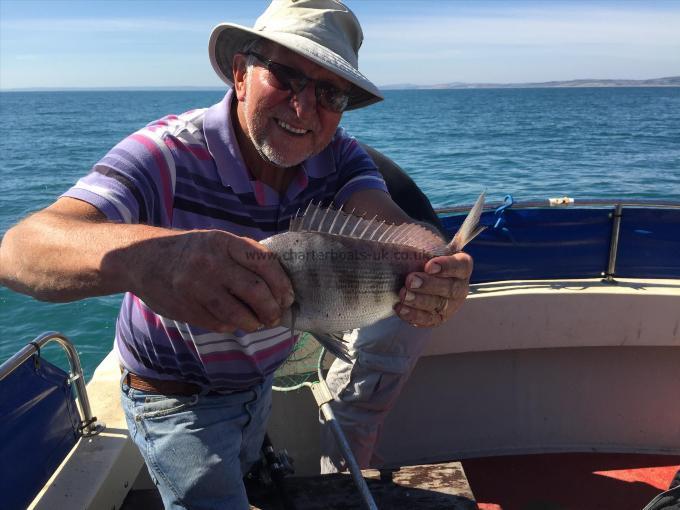 1 lb 5 oz Black Sea Bream by Richard Williams