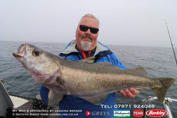 9 lb Pollock by Graham