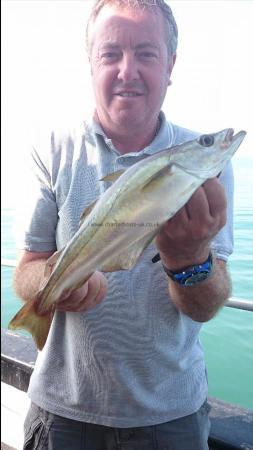 2 lb Pollock by Crew,