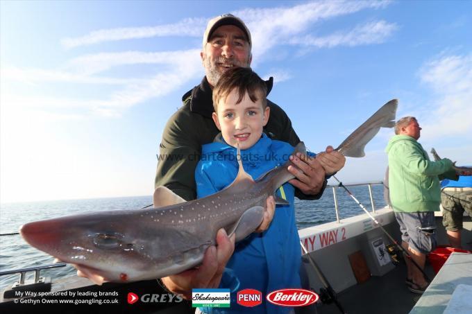 6 lb Starry Smooth-hound by Tomos