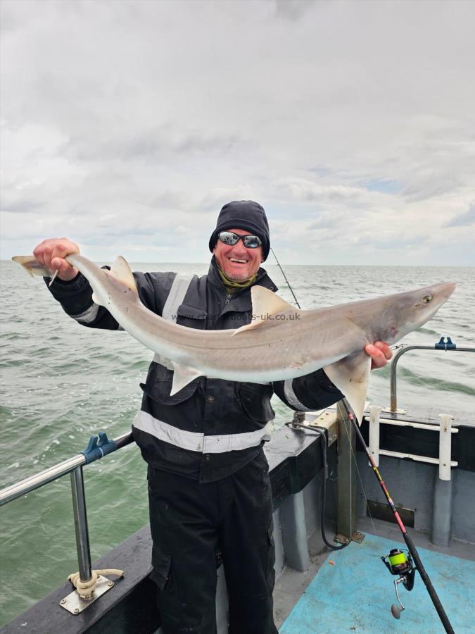 12 lb Smooth-hound by Lee
