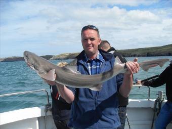 18 lb Starry Smooth-hound by Unknown