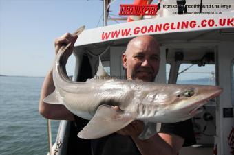13 lb Starry Smooth-hound by Jeffers