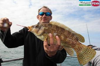 3 lb Ballan Wrasse by Mark