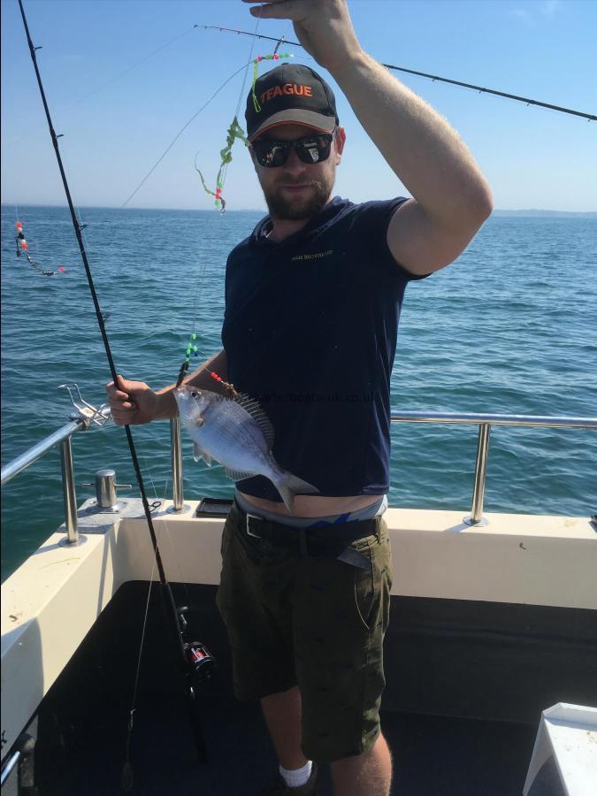 1 lb 6 oz Black Sea Bream by Unknown