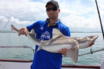 14 lb Starry Smooth-hound by Ari