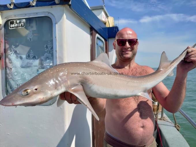 13 lb 4 oz Smooth-hound by Mark Wallis