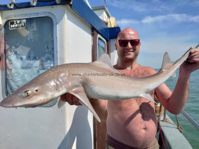 13 lb 4 oz Smooth-hound (Common) by Mark Wallis