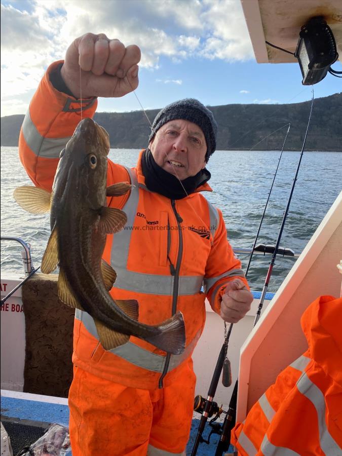 3 lb 10 oz Cod by Dave Sharp.