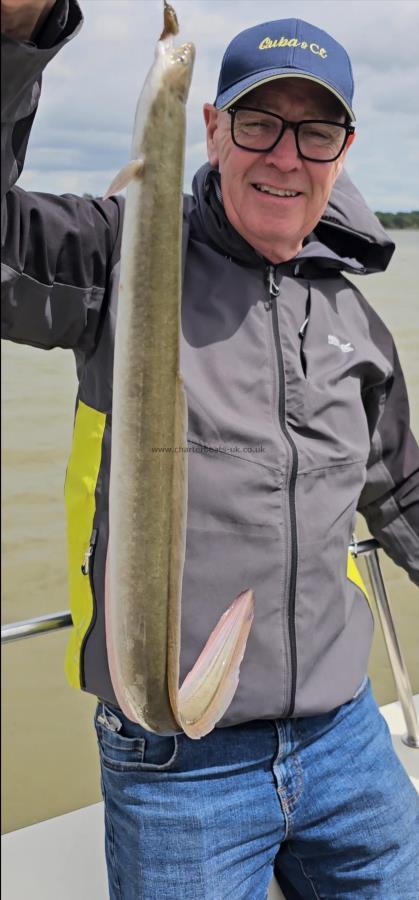 1 lb 8 oz European Eel by Ray